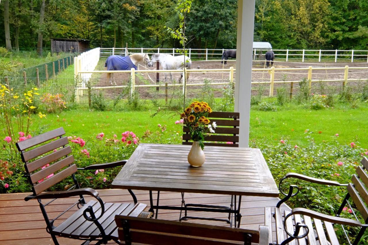 Hotel Gut Klostermuehle Natur Resort & Medical Spa Alt Madlitz 외부 사진